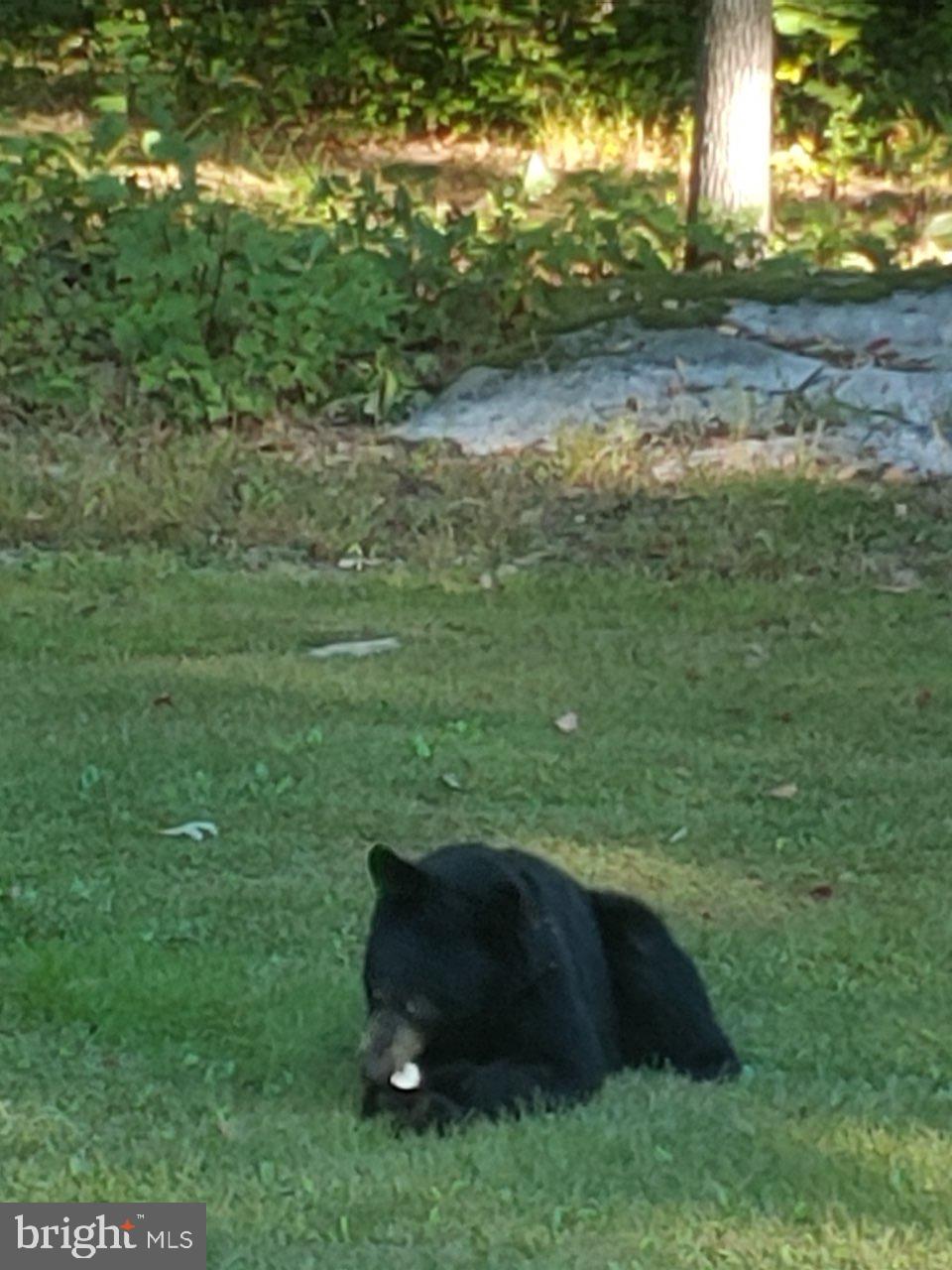 WOODLAND ESTATES - Residential