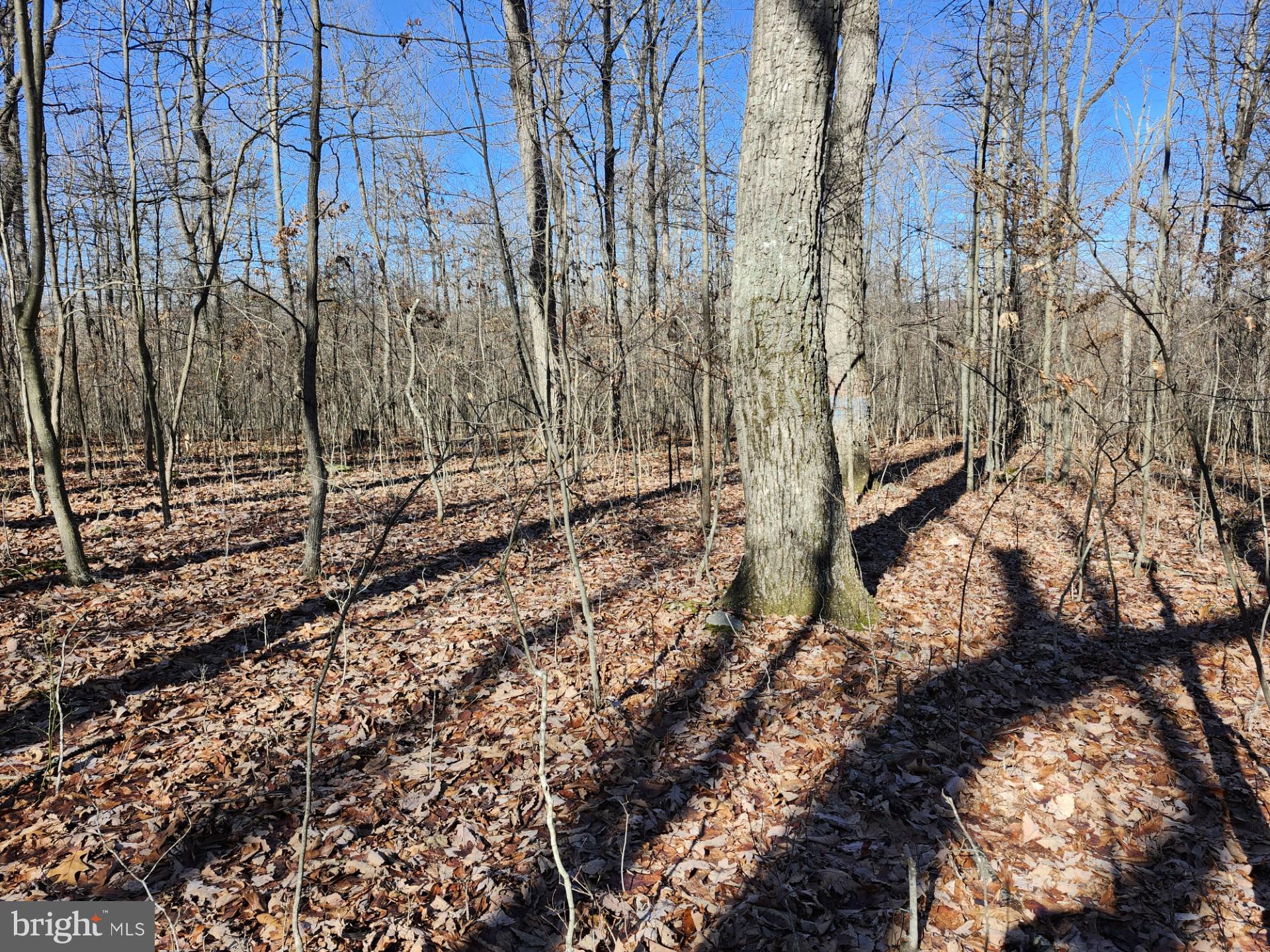 WOODLAND ESTATES - Residential