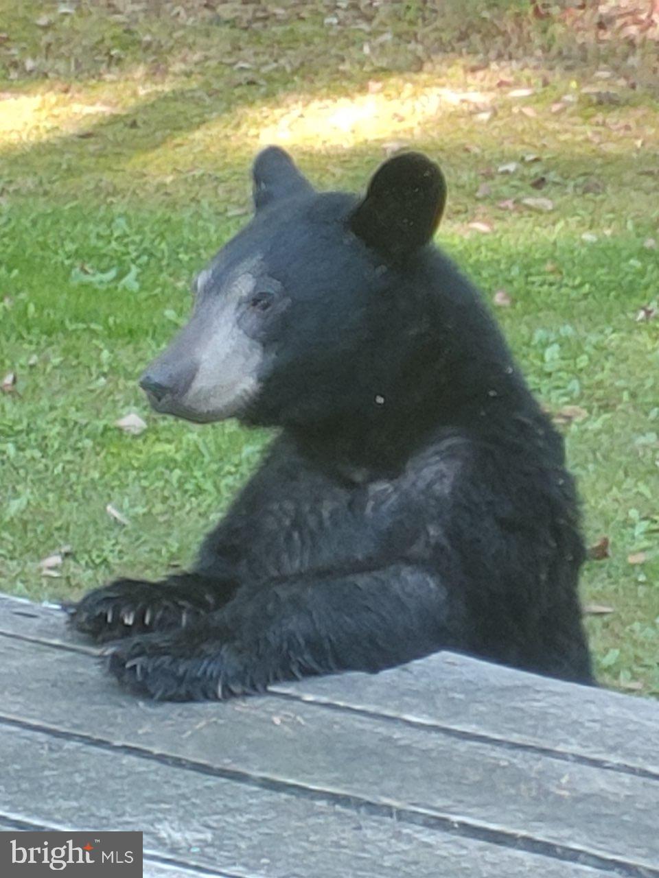 WOODLAND ESTATES - Residential