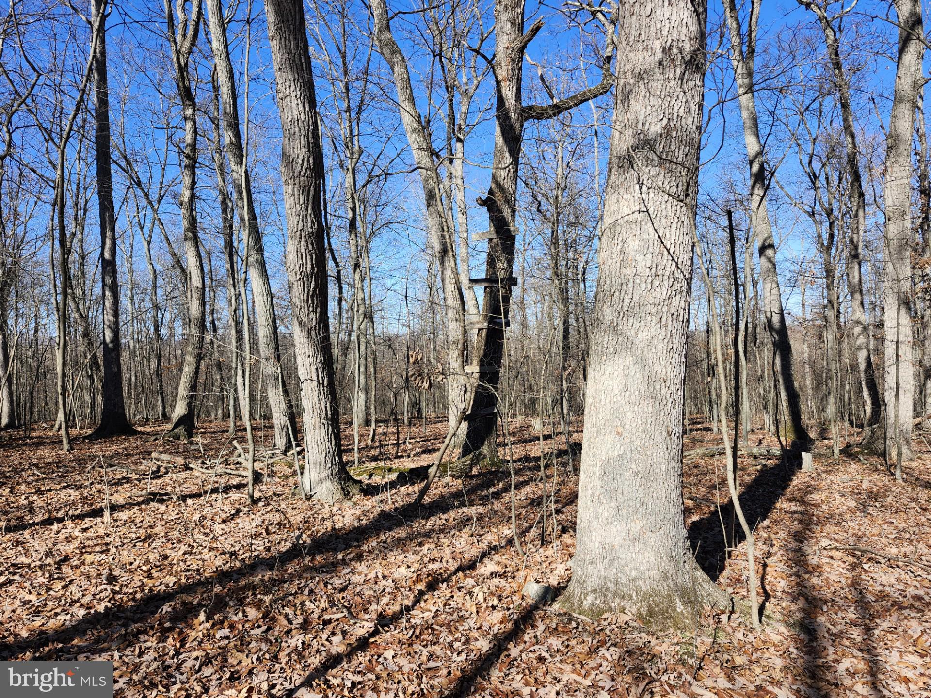 WOODLAND ESTATES - Residential