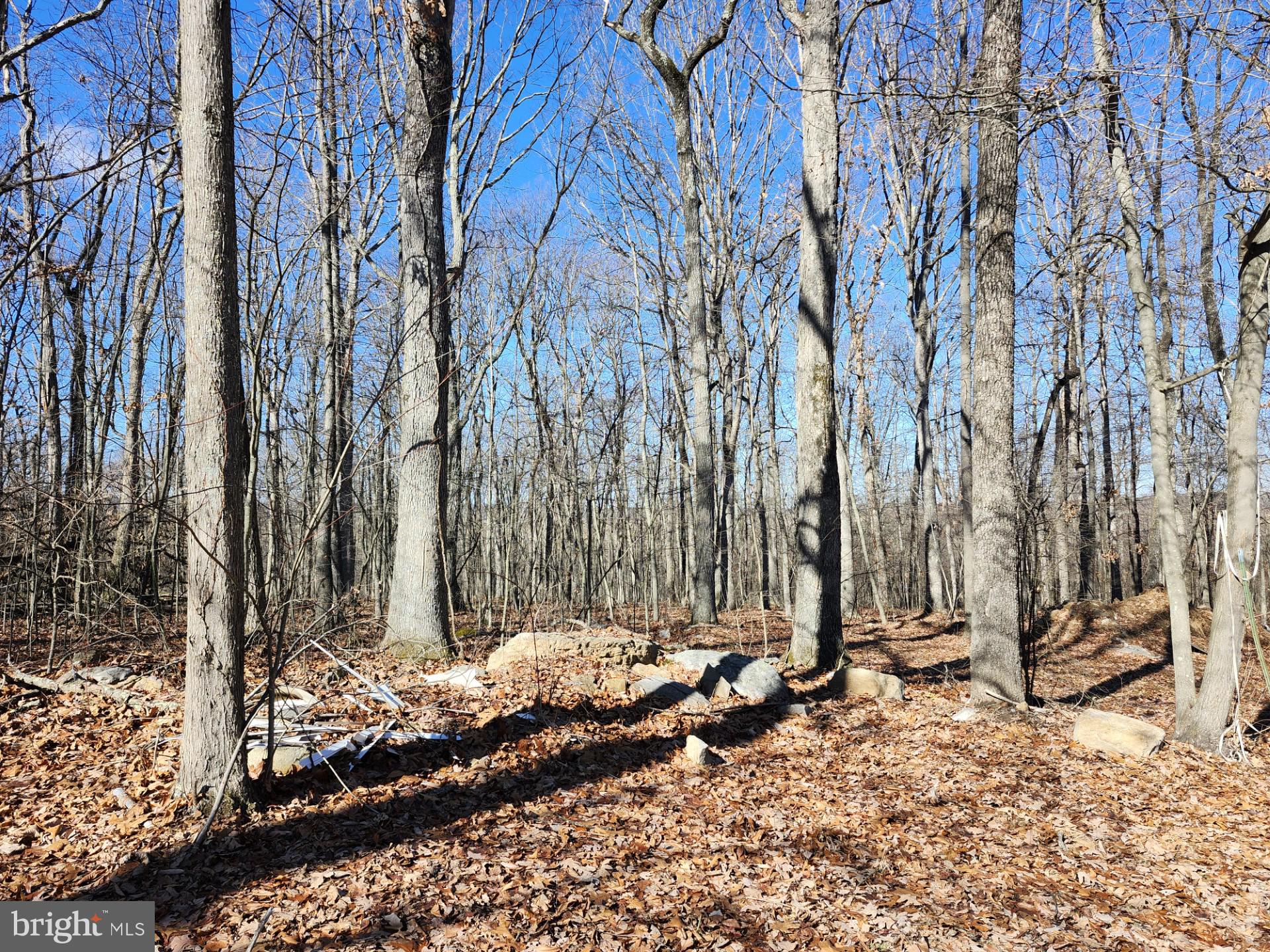 WOODLAND ESTATES - Residential