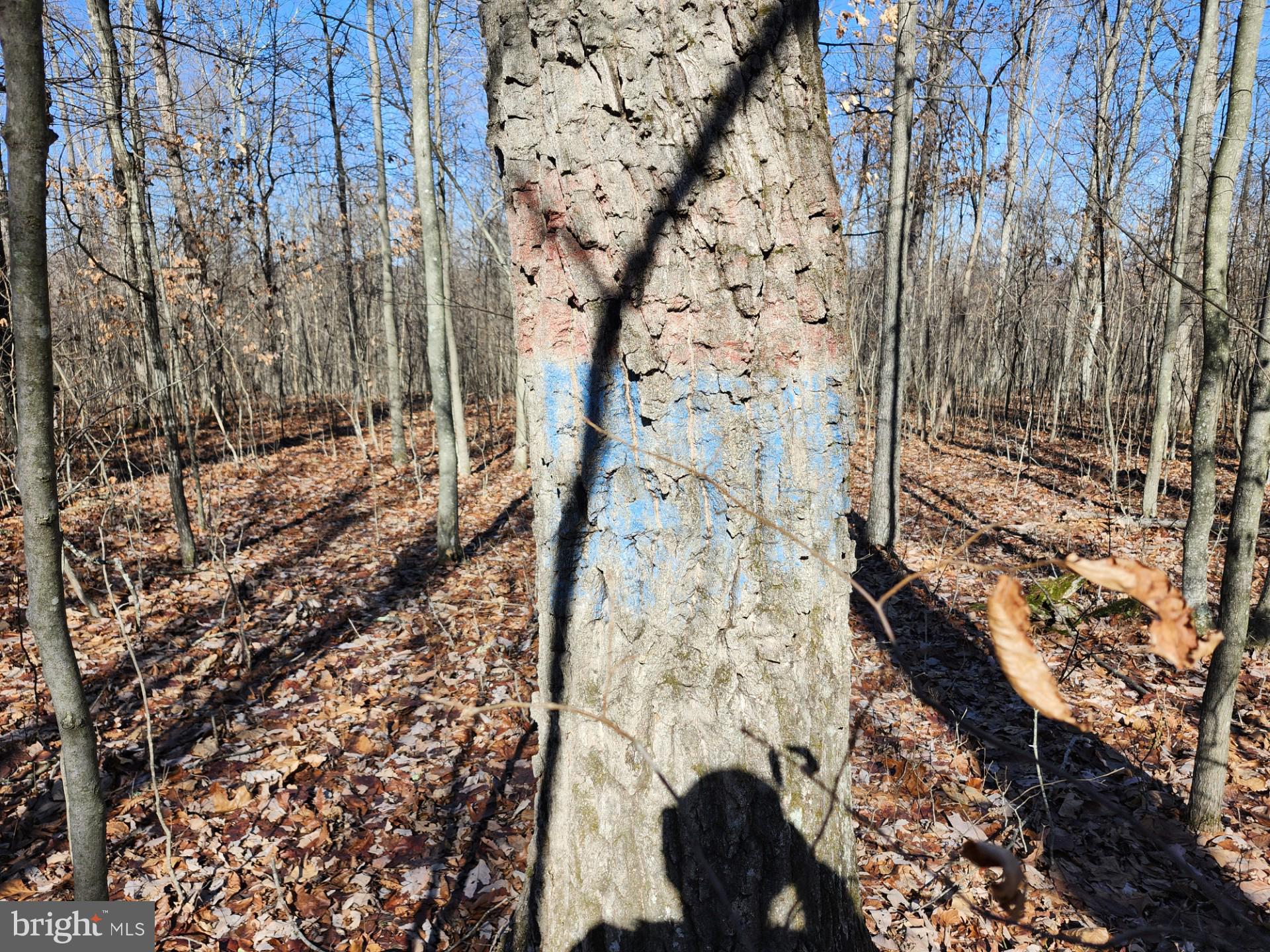 WOODLAND ESTATES - Residential