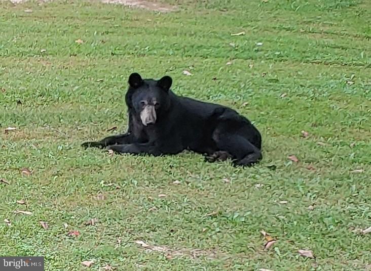 WOODLAND ESTATES - Residential