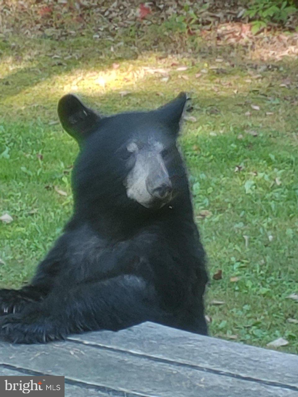 WOODLAND ESTATES - Residential