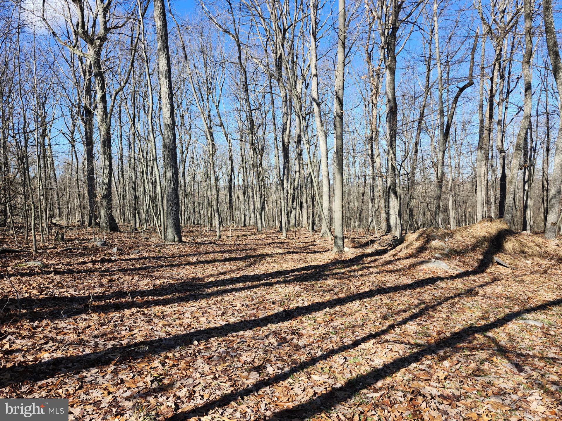 WOODLAND ESTATES - Residential