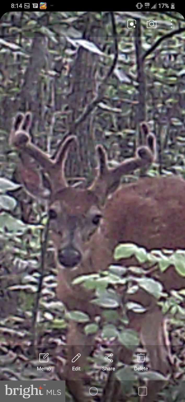 WOODLAND ESTATES - Residential