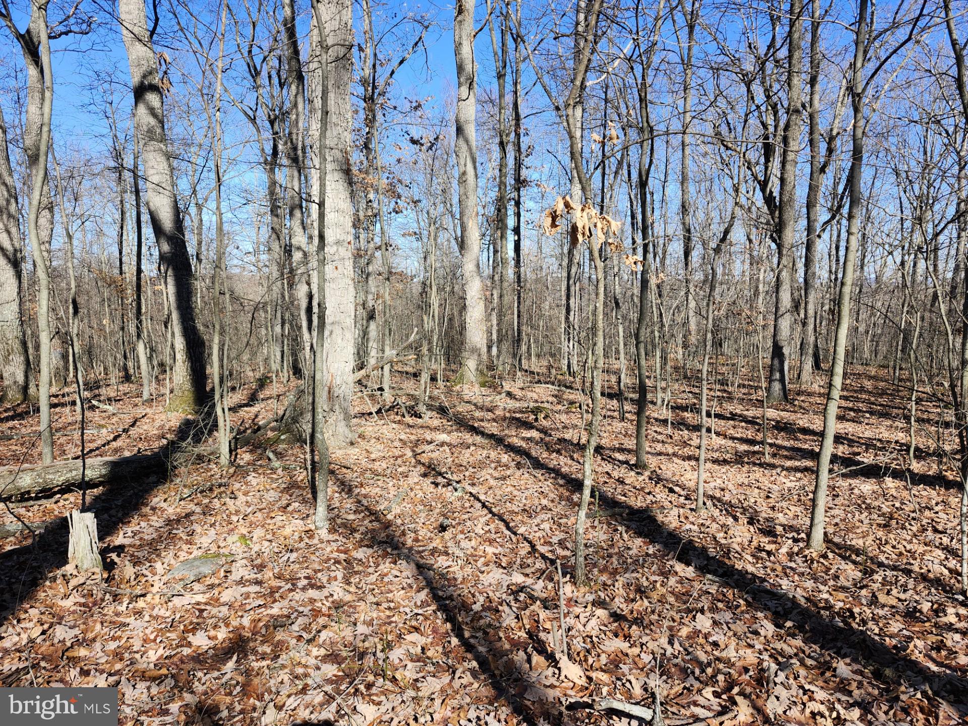 WOODLAND ESTATES - Residential