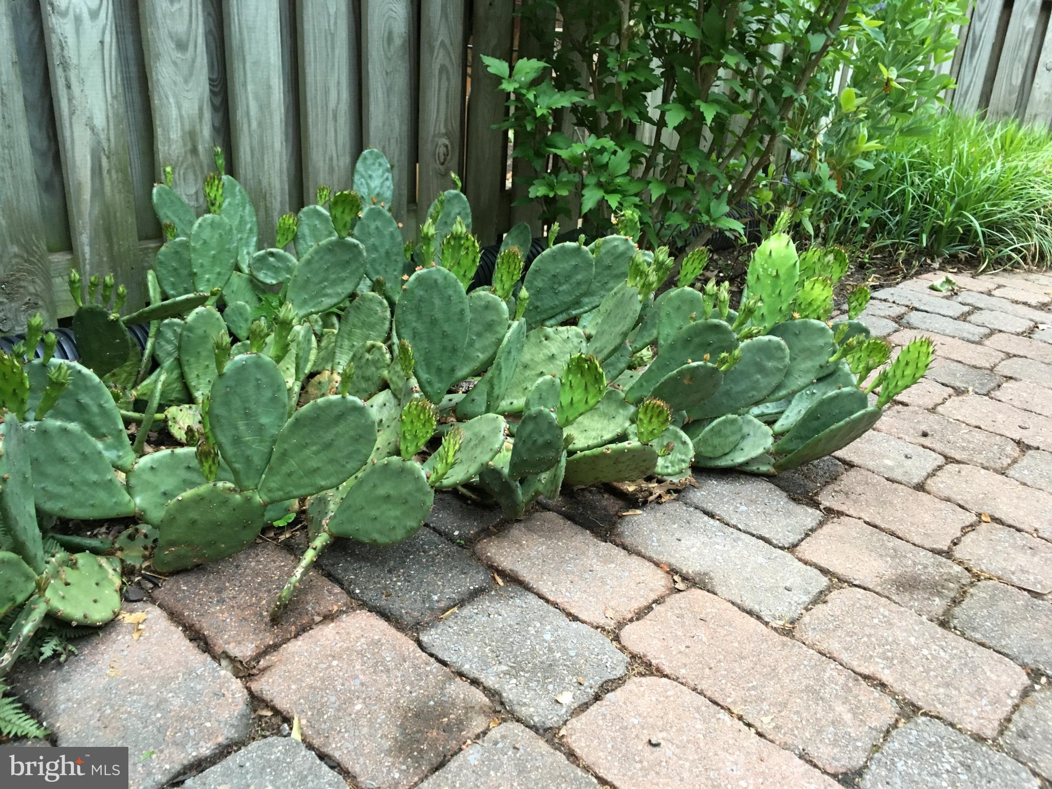 FAIRLINGTON VILLAGES - Residential