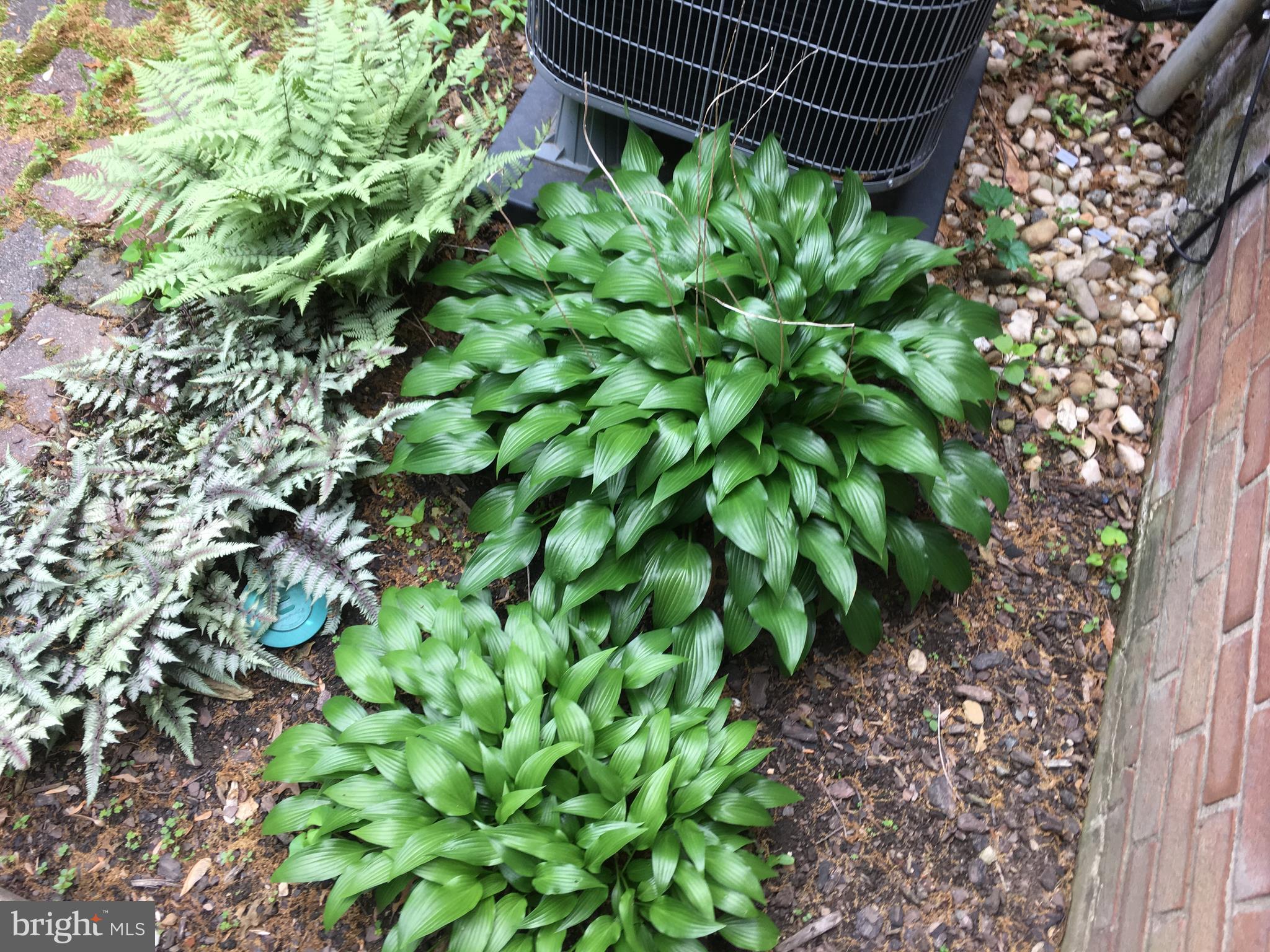 FAIRLINGTON VILLAGES - Residential