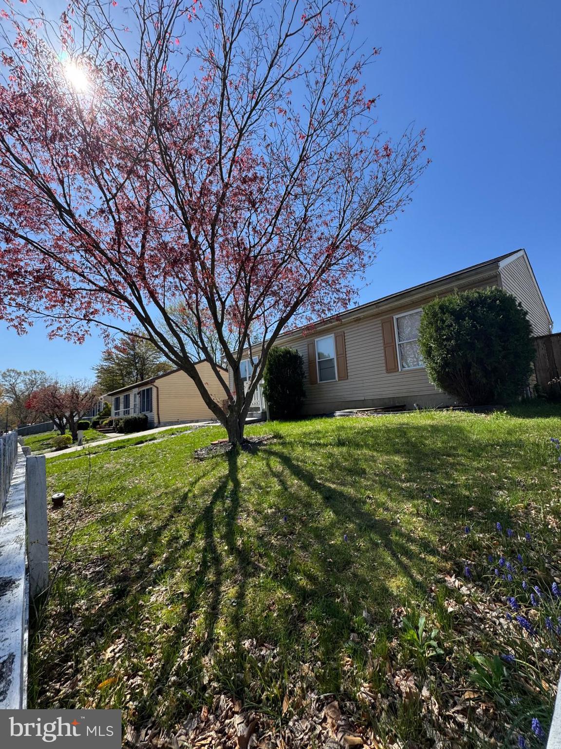 FREETOWN VILLAGE - Residential Lease