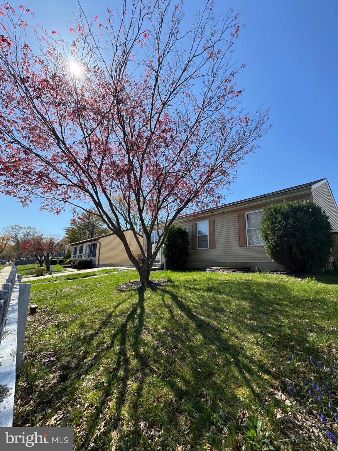 FREETOWN VILLAGE - Residential Lease