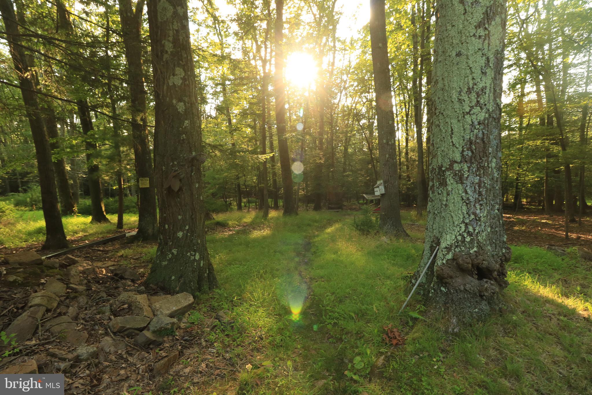 313 GREENS VALLEY ROAD