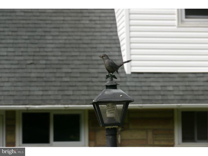 WYNDMOOR - Residential