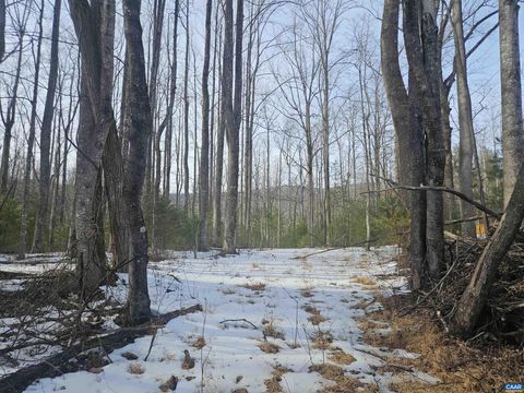 Vacant Land For Sale - TBD LOT 56G Turkey Ridge Rd #56G<br/> STANARDSVILLE, VA 22973