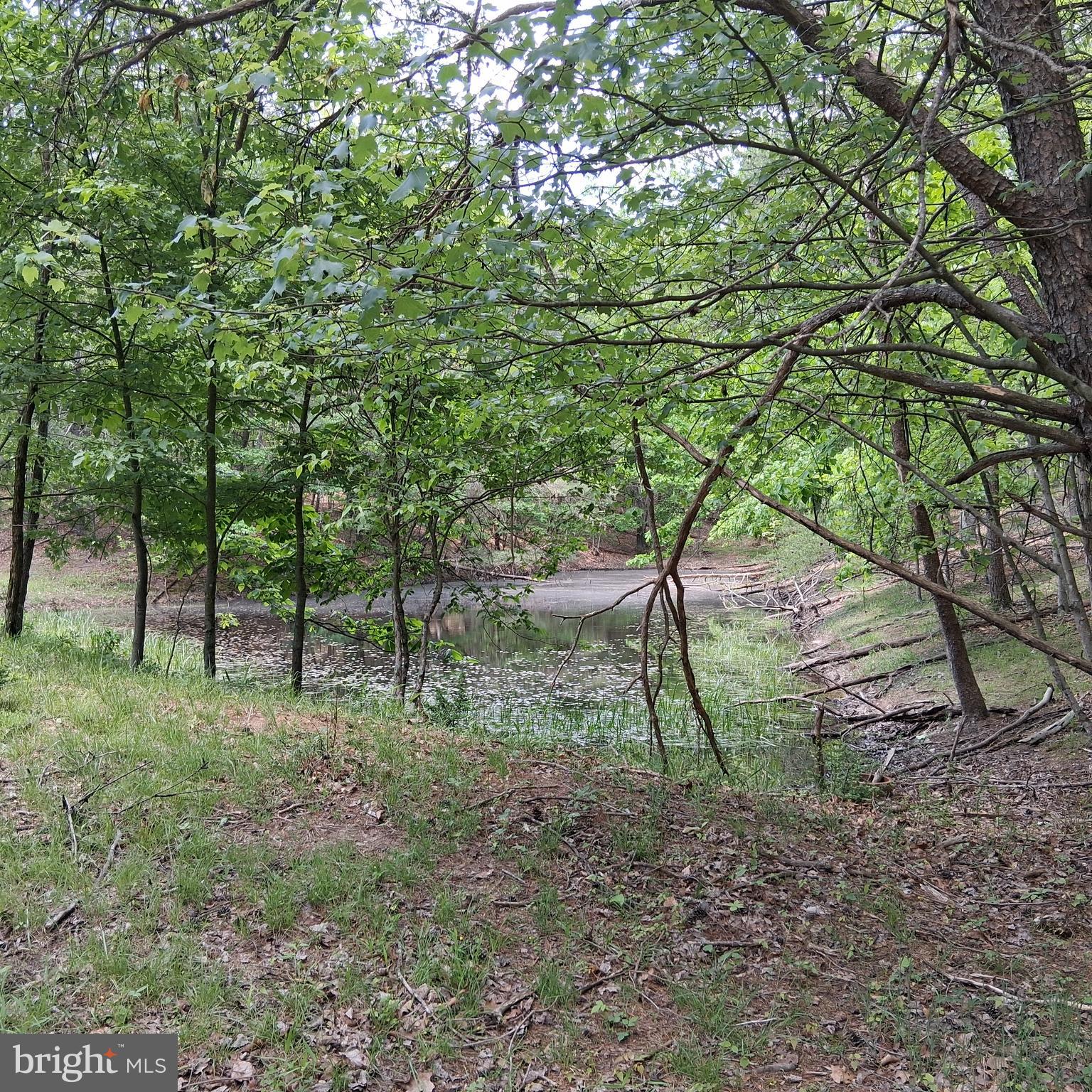 RED BUD RIDGE - Land