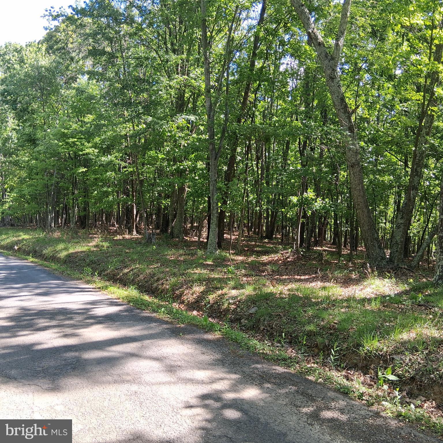 Lot 1 YOUNGBLOOD ROAD