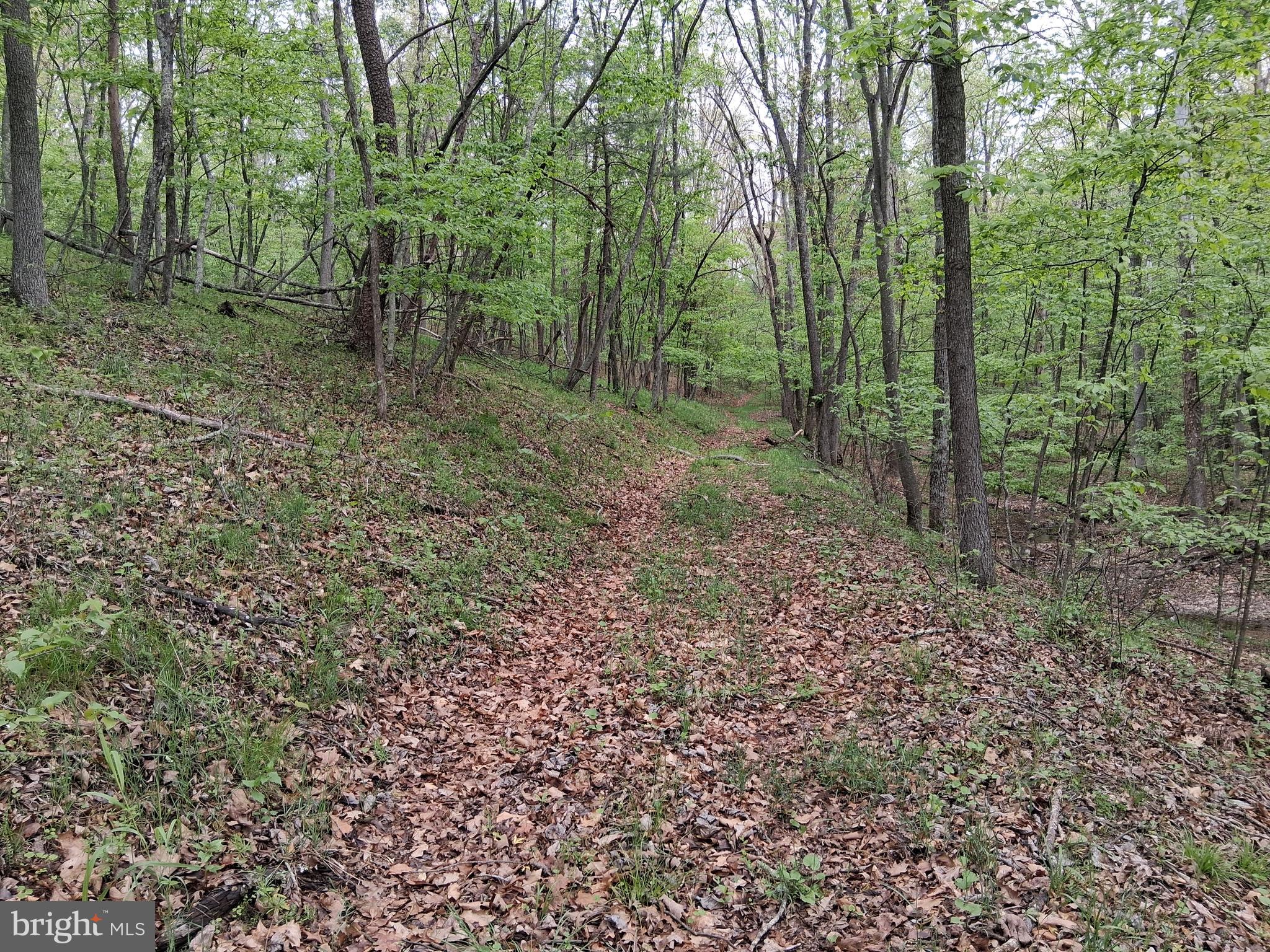 RED BUD RIDGE - Land
