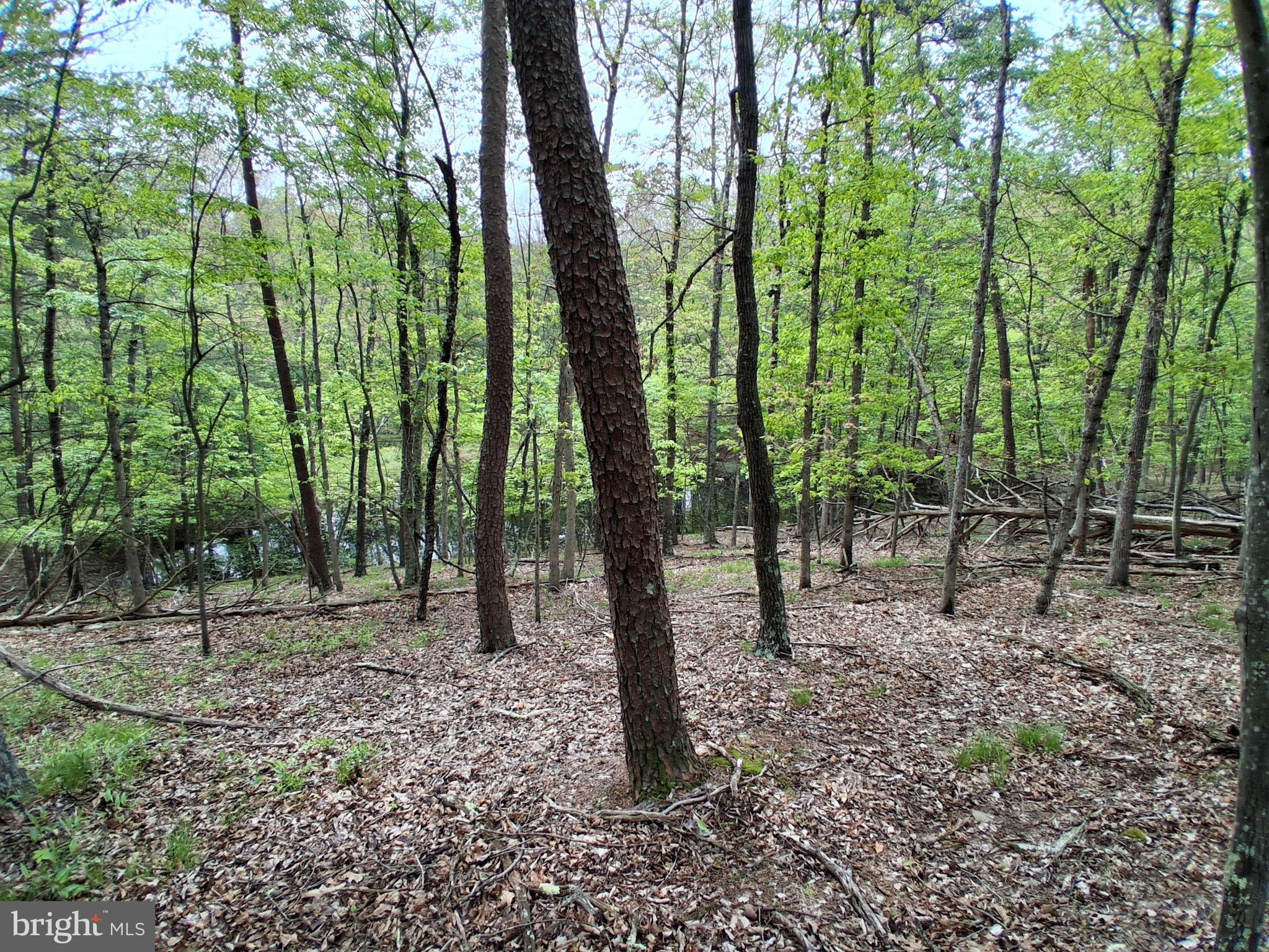 Lot 1 YOUNGBLOOD ROAD