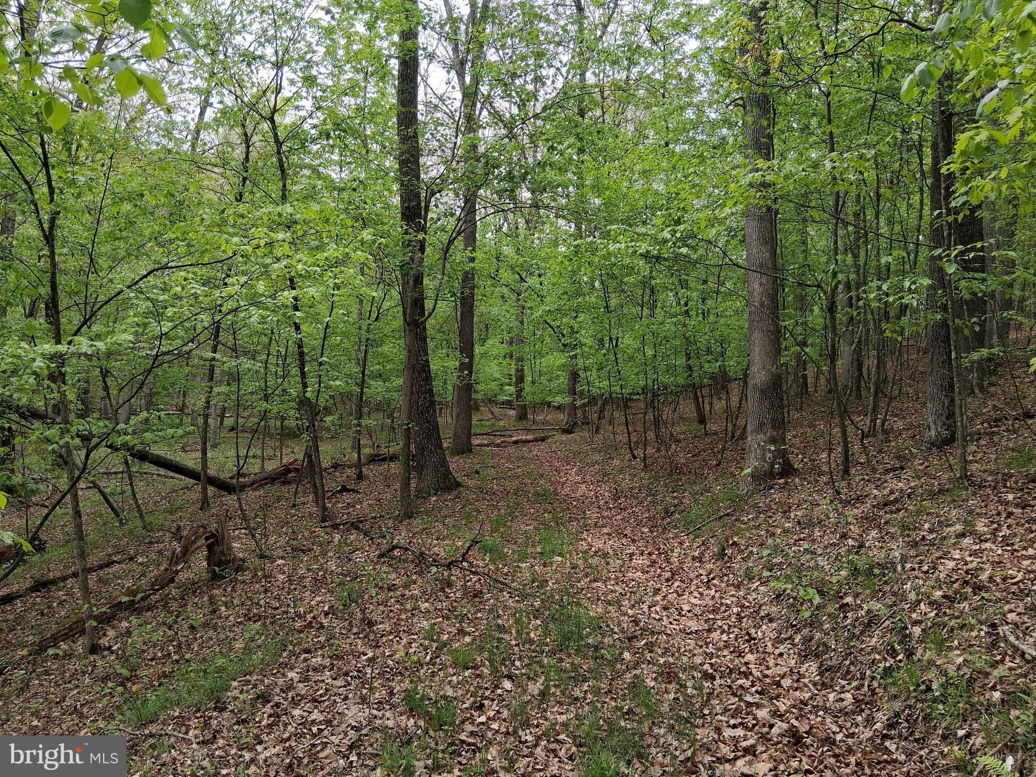 RED BUD RIDGE - Land