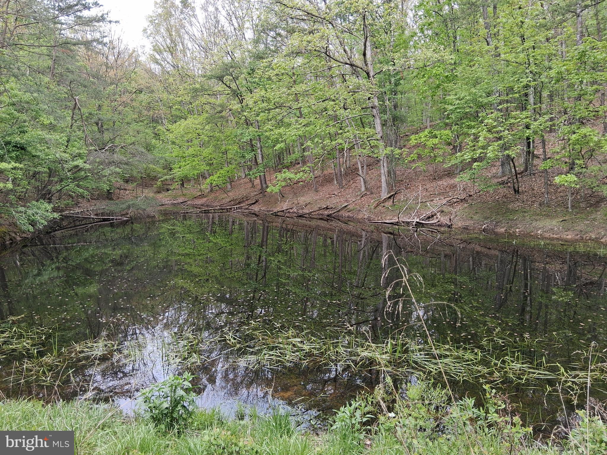 RED BUD RIDGE - Land