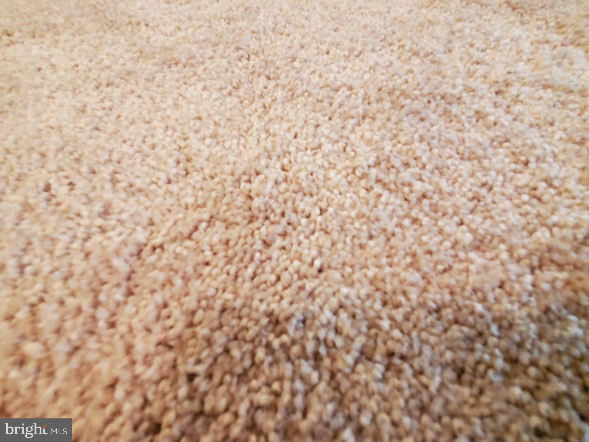 WORLDGATE CONDO - Residential Lease