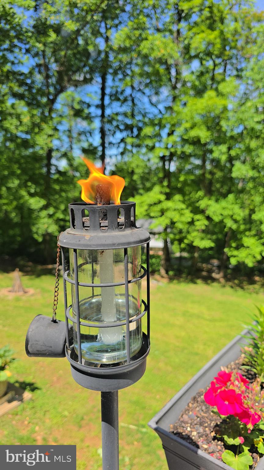 BLUE MOUNTAIN - Residential