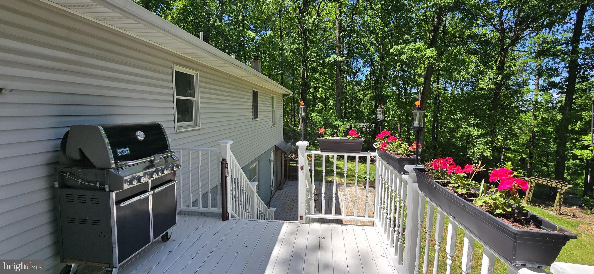 BLUE MOUNTAIN - Residential