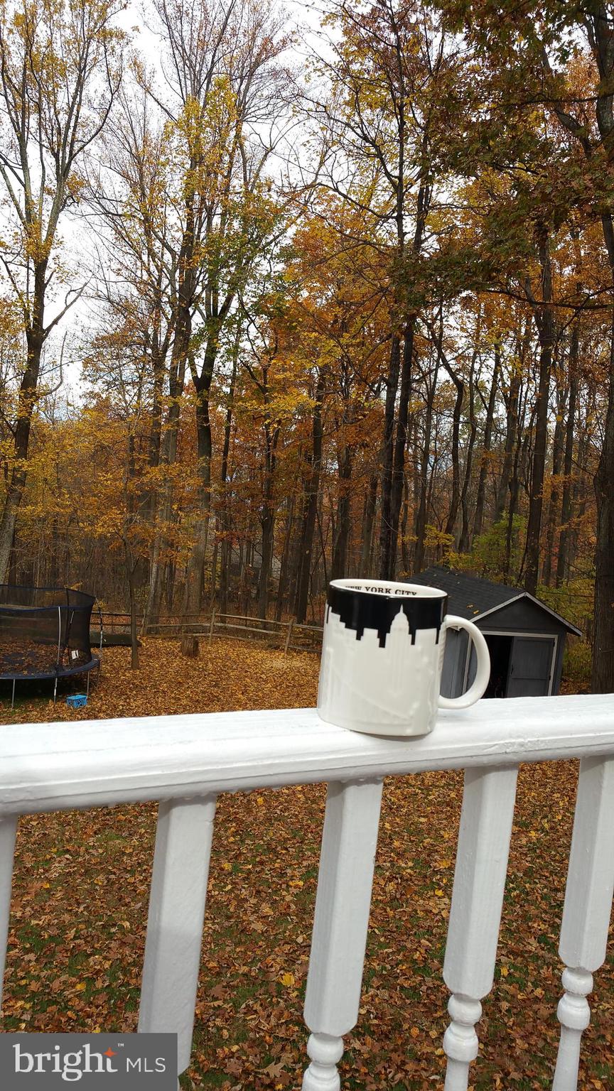 BLUE MOUNTAIN - Residential