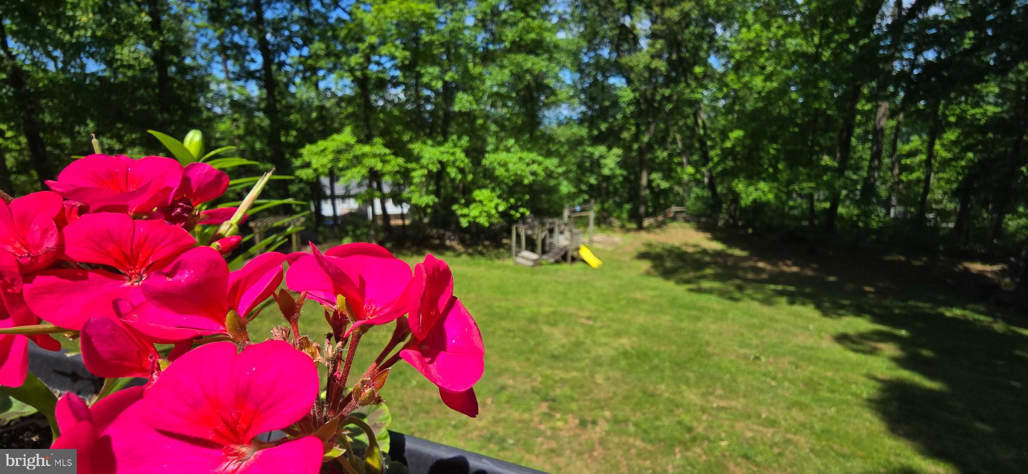 BLUE MOUNTAIN - Residential