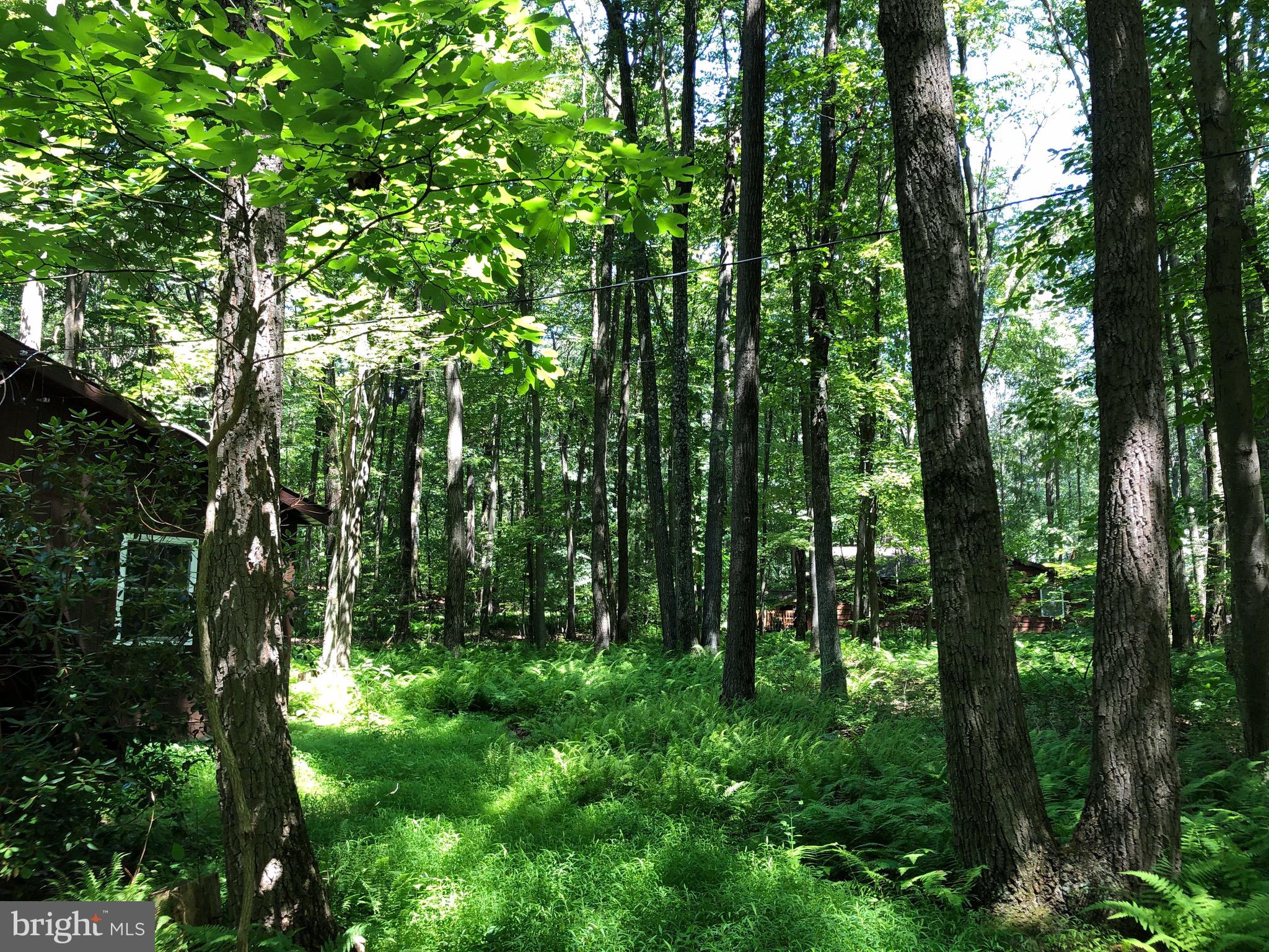 WHIPPOORWILL LN - Residential