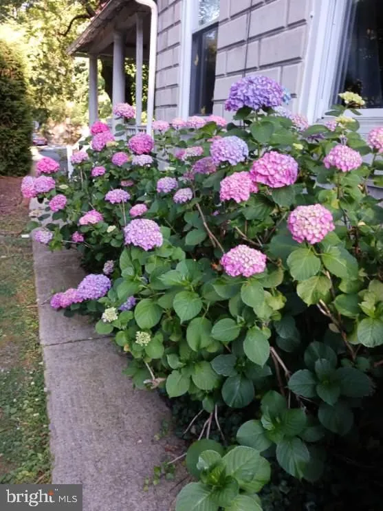 Reading, Pennsylvania 19610, United States, 4 Bedrooms Bedrooms, ,1 BathroomBathrooms,Residential,Pending,30123