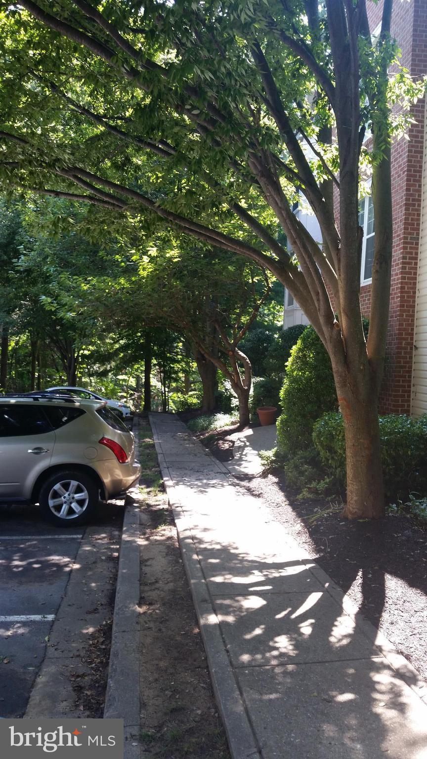 SILVERBROOK WOOD - Residential