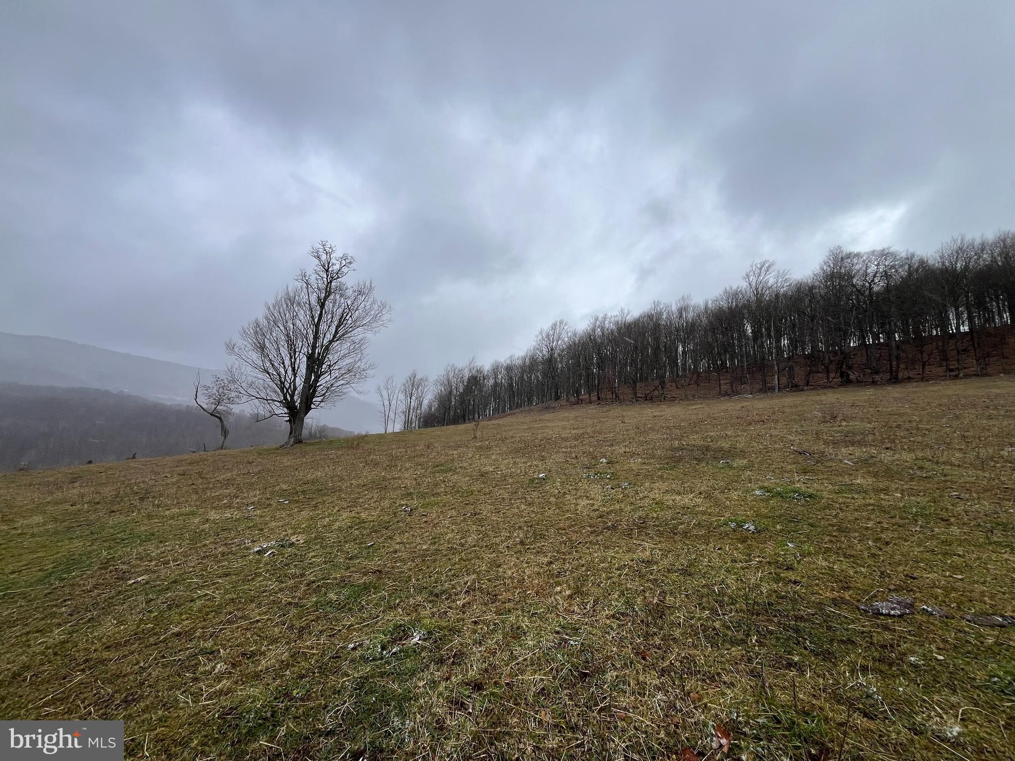 Unrestricted 171.37 Acres Near Spruce Knob
This is a mountain paradise with 3 springs, a creek with native trout, and breathtaking views. The versatile land offers acres of pasture, wooded areas for hunting or timbering. The possibilities are endless, build your dream home, create a recreational retreat, or invest in land with future potential.
Whether you want to hike, fish, hunt, or camp; or if you are just looking to escape the hustle and bustle and enjoy nature's tranquility secure your piece of West Virginia's natural beauty.