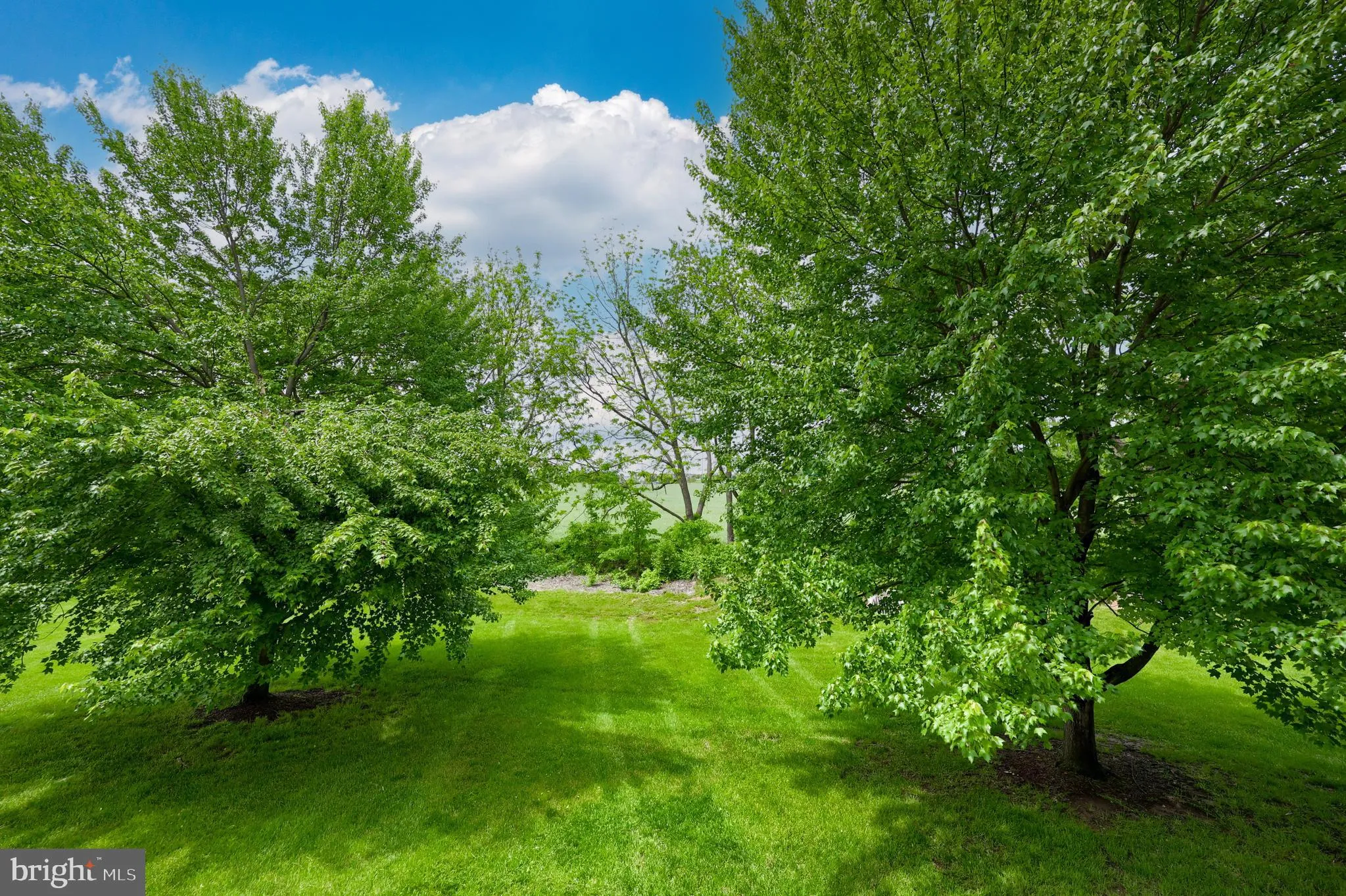 Lancaster, Pennsylvania 17601, United States, 3 Bedrooms Bedrooms, ,2 BathroomsBathrooms,Residential,Active,136049