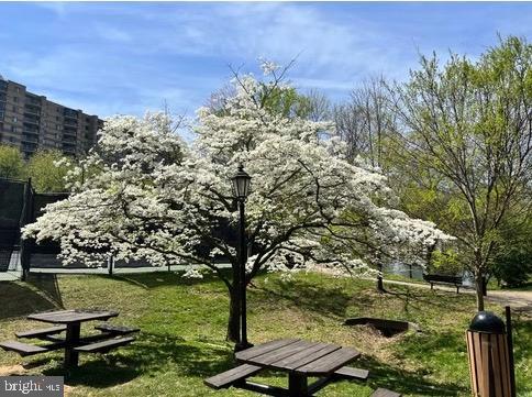 ROTONDA - Residential