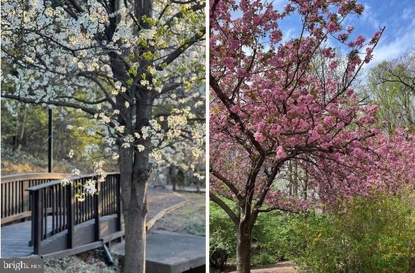 ROTONDA - Residential