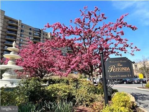 8380 GREENSBORO DRIVE 525 MCLEAN VA 22102