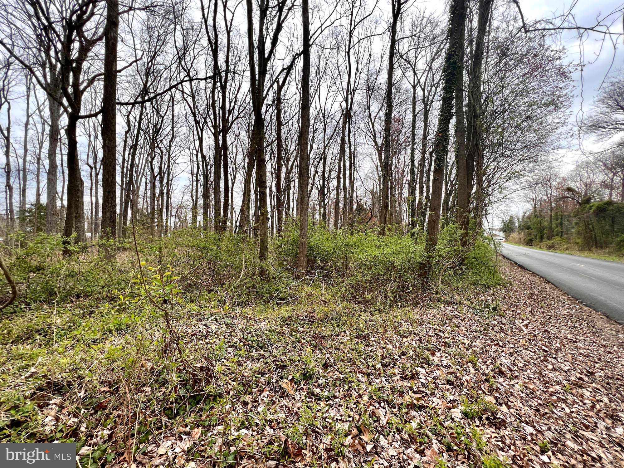 DUNDALK - Commercial Sale