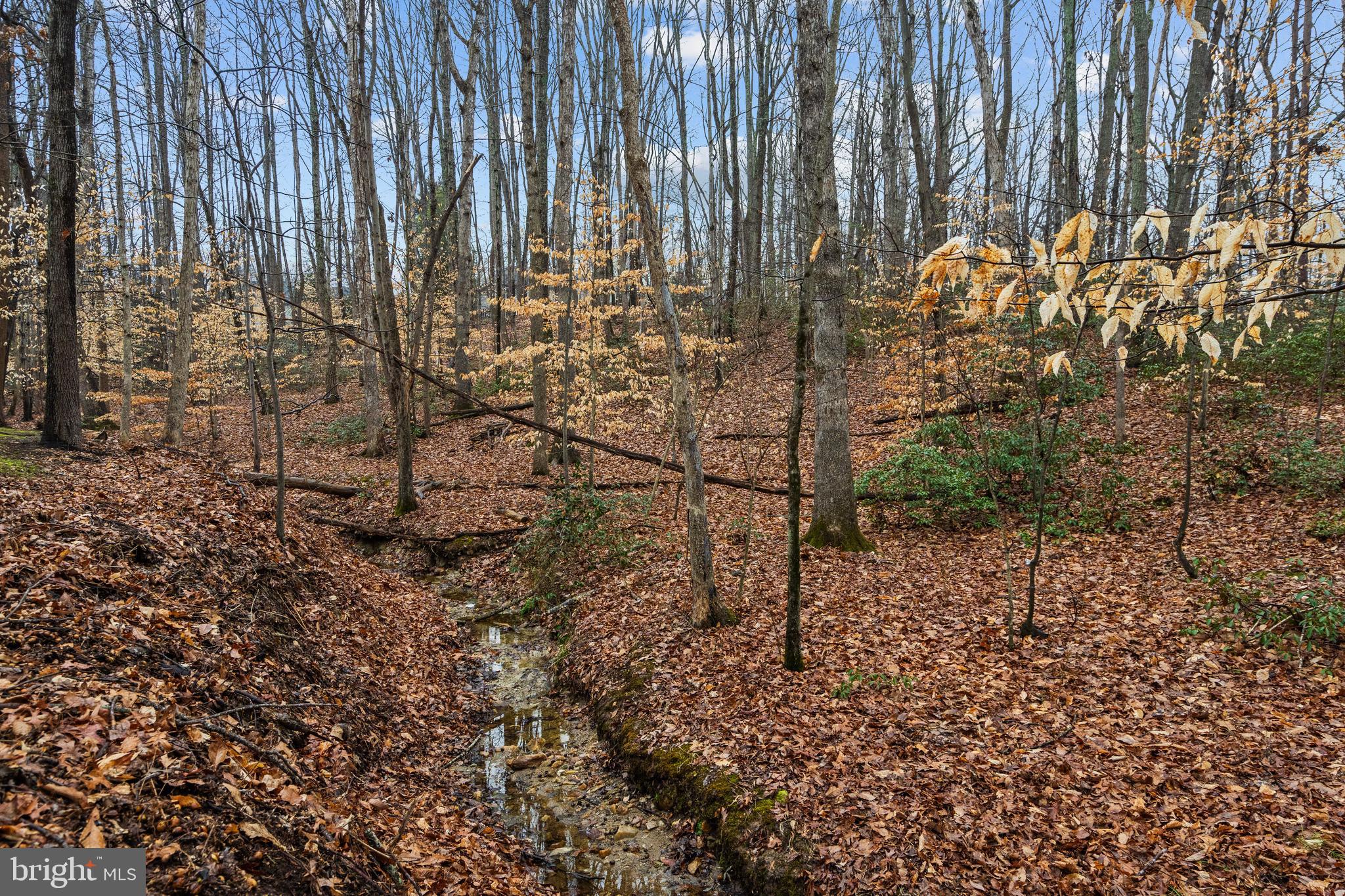 WESTRIDGE - Residential