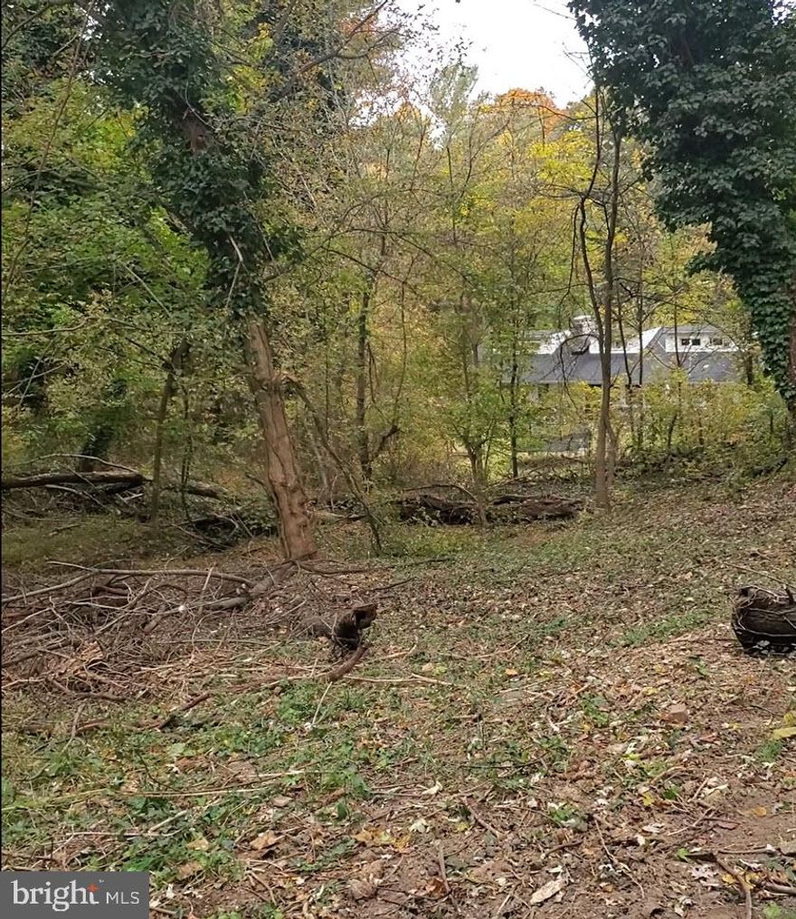 Discover the perfect opportunity to build your dream home on this vacant land. The property includes Lots 3, 4, 5, and 25 feet of Lot 6, situated on East D Street in Brunswick.

Please refer to the disclosures regarding the City of Brunswick sewer right-of-way deed. Buyers are responsible for verifying feasibility, zoning requirements, and approvals for their intended use.

Don’t miss out on this exceptional chance to own a valuable multi-lot property!