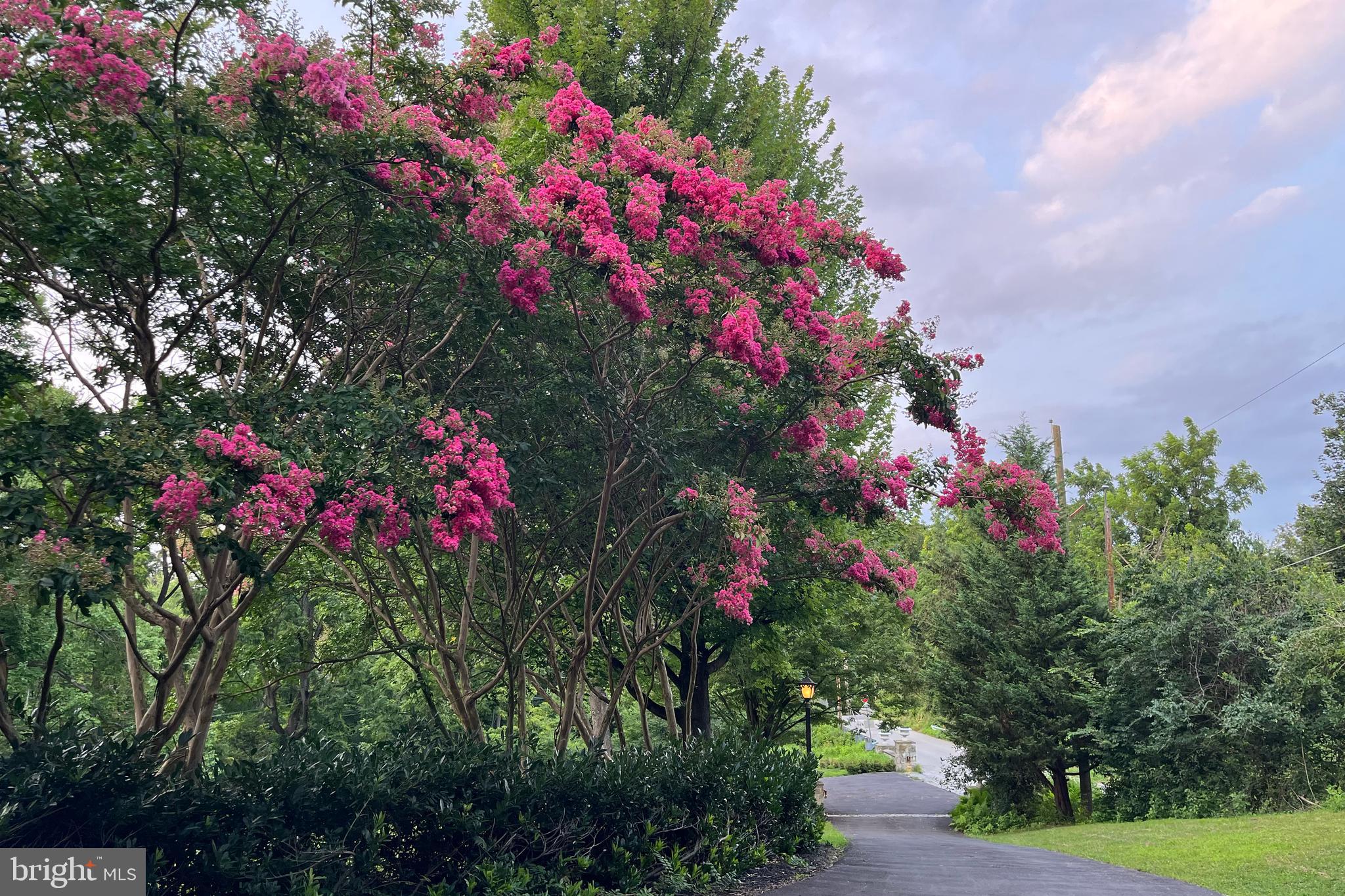 MIQUON - Residential