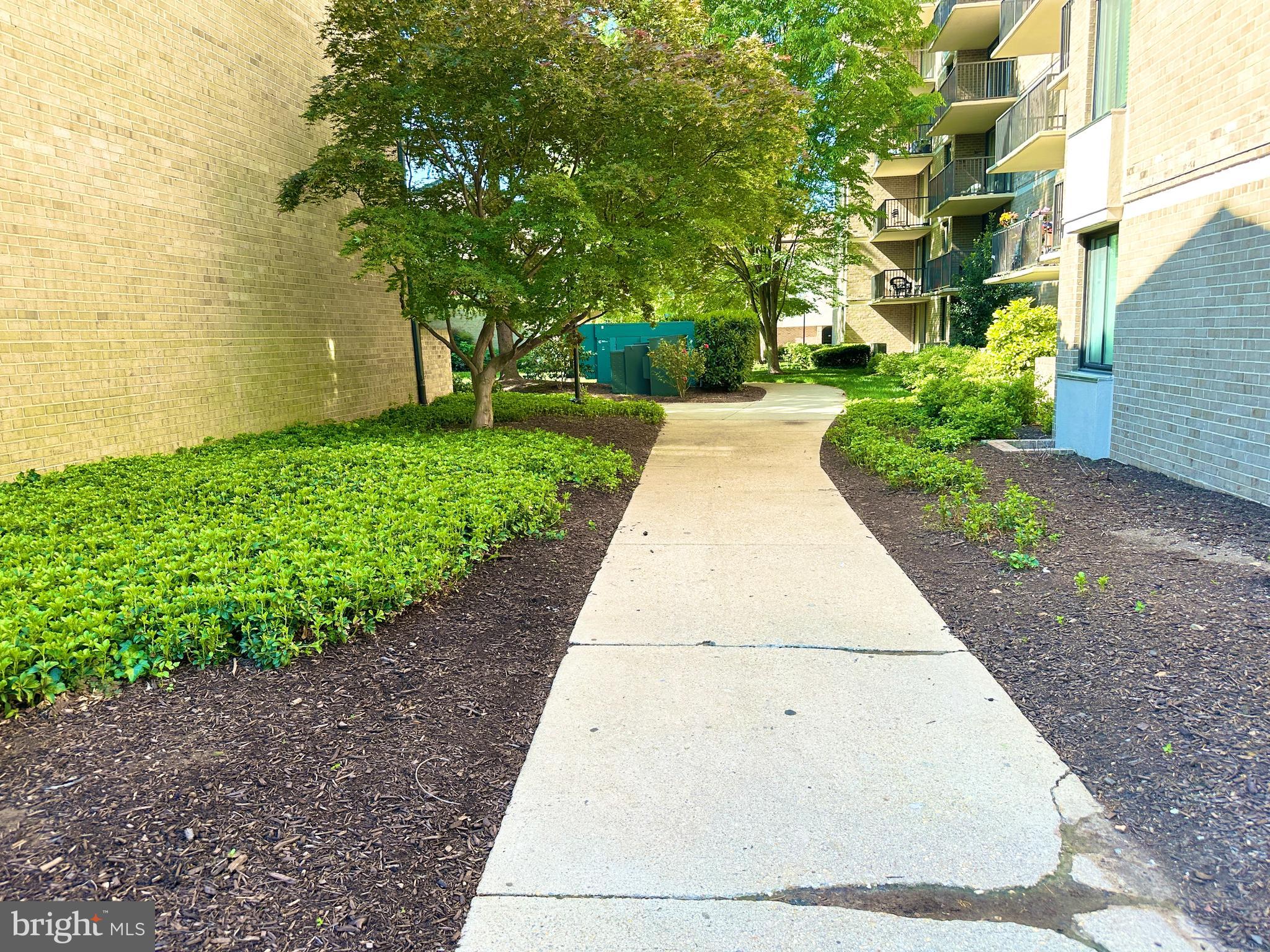 AMERICANA CENTRE - Residential Lease