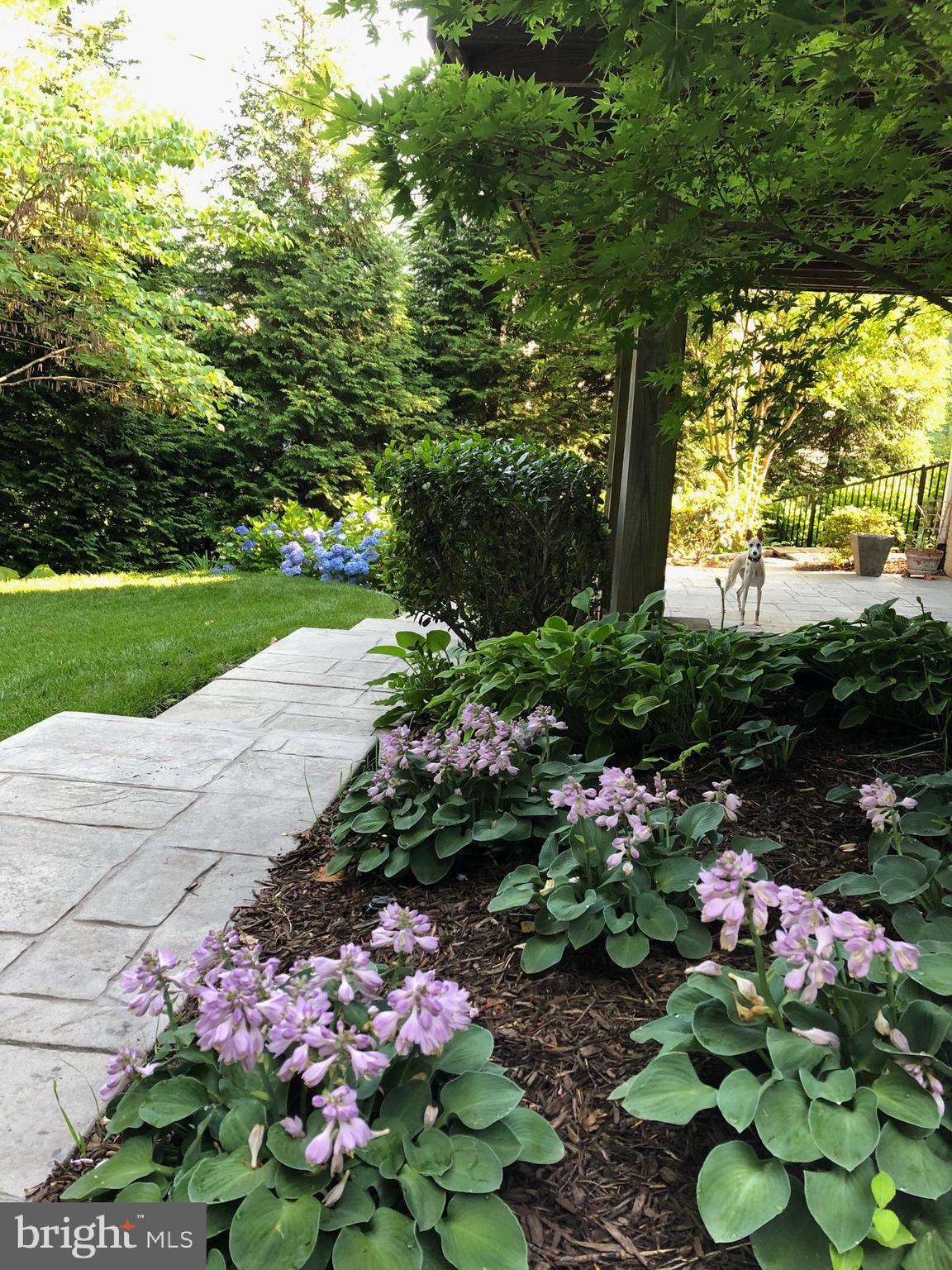 BRECKENRIDGE - Residential