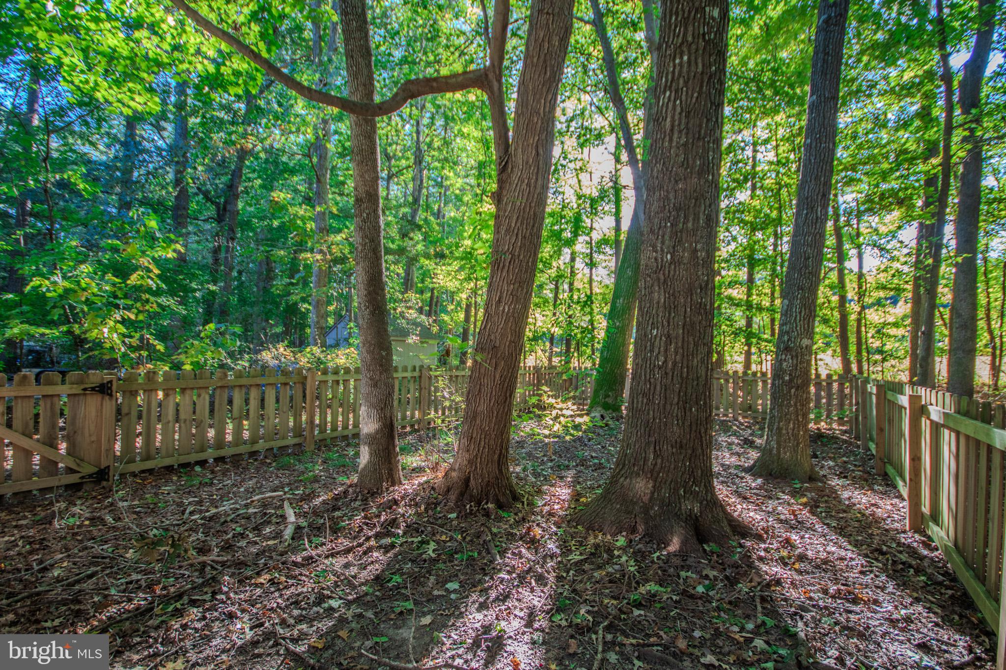 OCEAN PINES - BAINBRIDGE - Residential