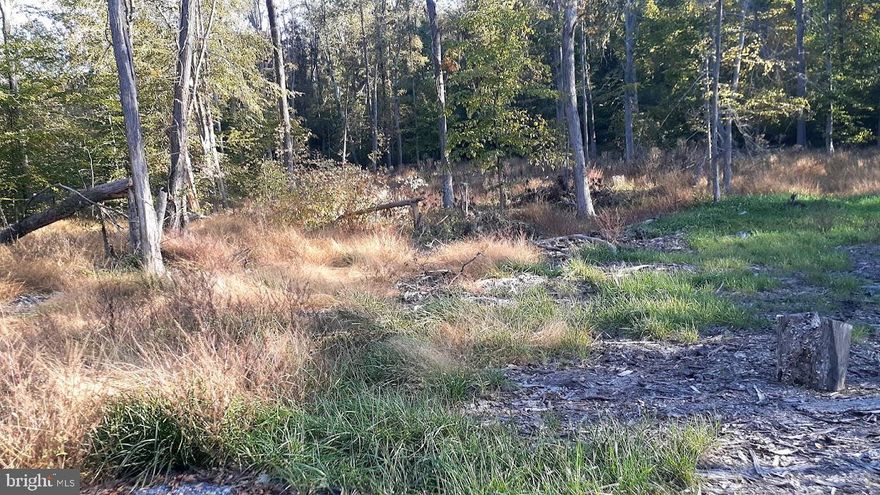 Location - Location - 
Build your dream home, up to 4 bedrooms on 3.31 acres in Frederick County MD.  Some trees have already been cleared for you.  Well is in.  Bring your plans and build your dream  home.
Create your own private oasis near Sugar Loaf Mountain.
This land is within easy commuting distance to DC, Baltimore and Montgomery County.  The property may seem isolated, but you will be just 10 minutes from I-270, with shopping & dining options in every direction.