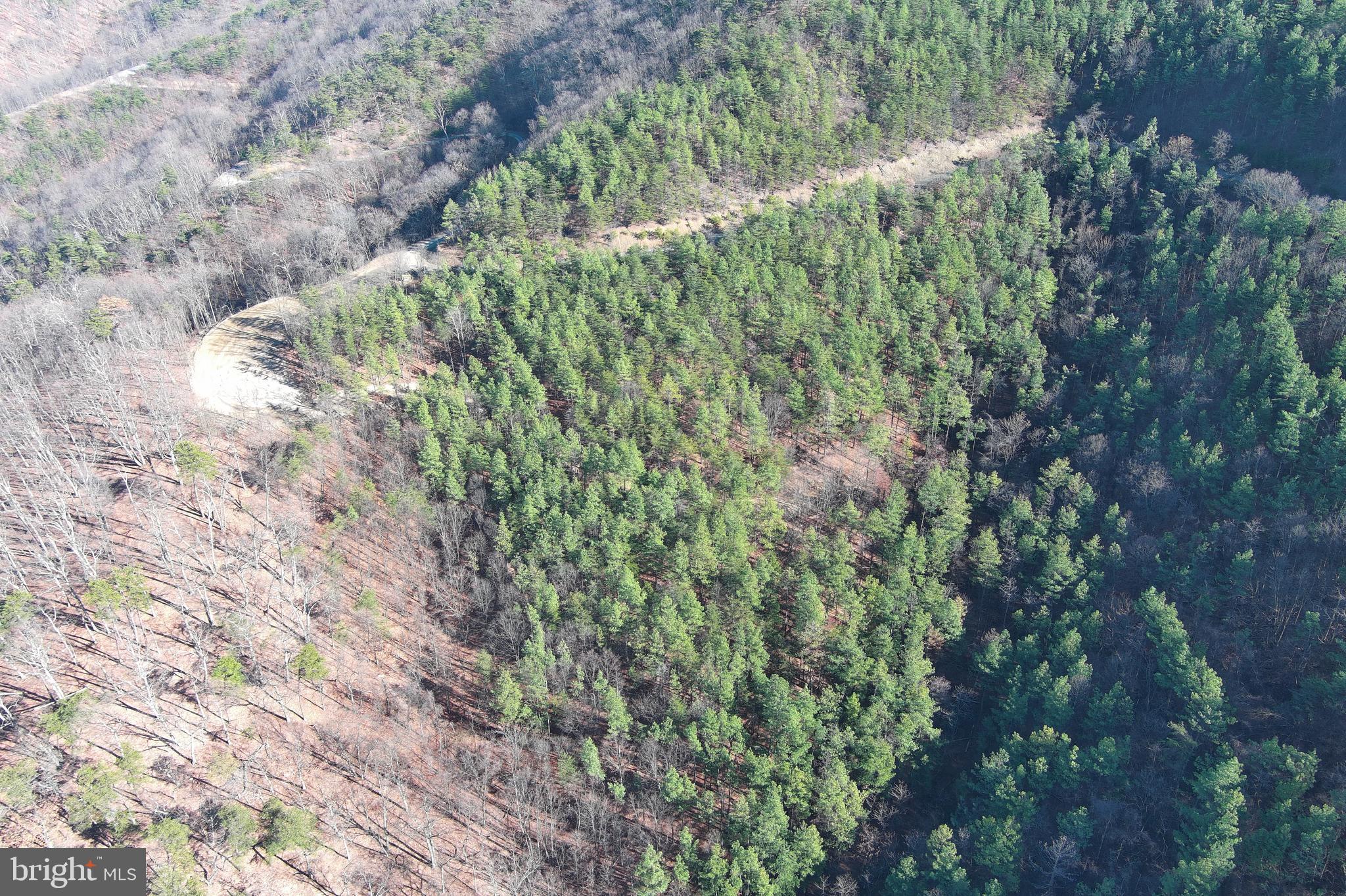 BLUFFS ON THE POTOMAC - Land