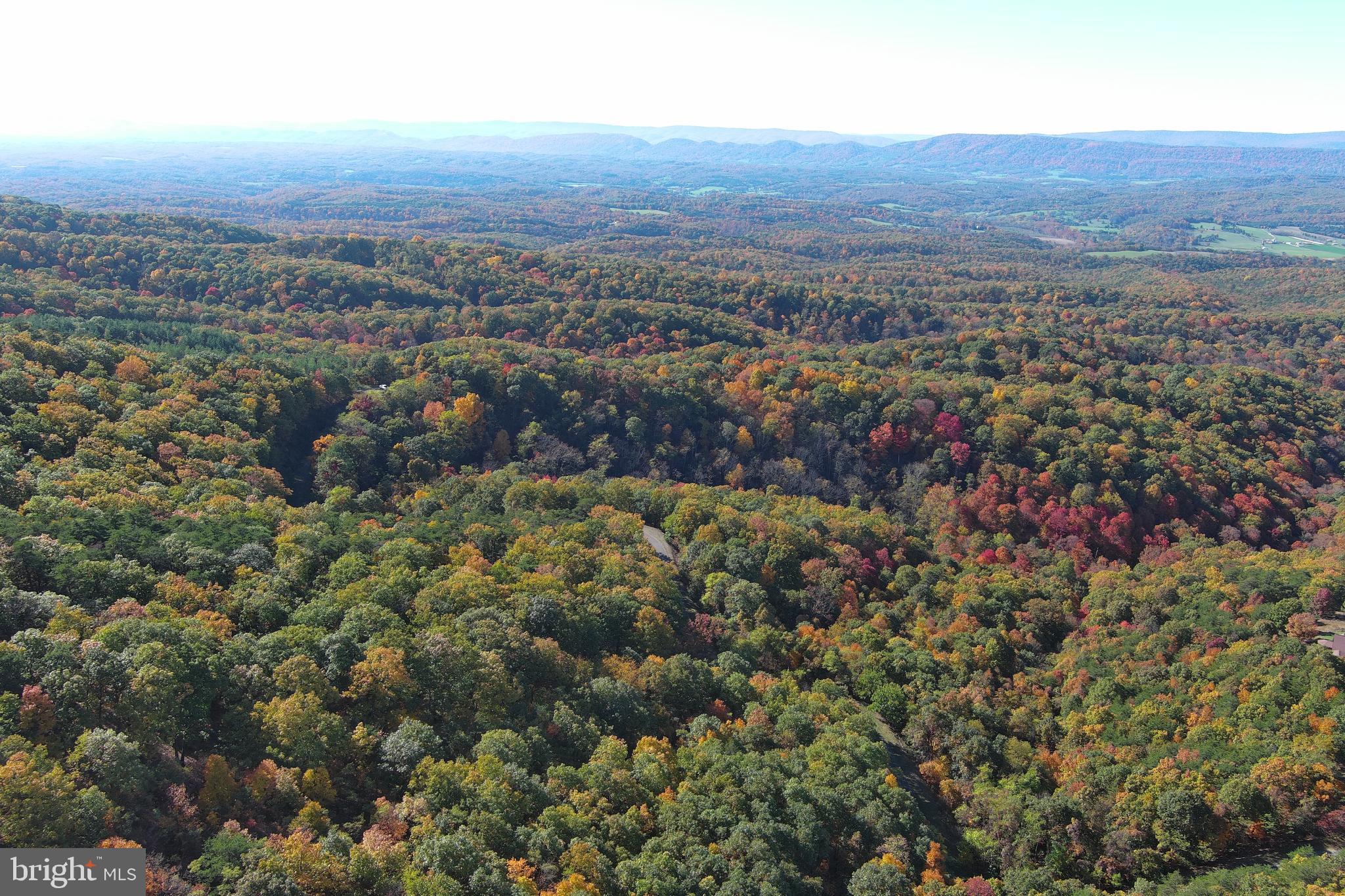 BLUFFS ON THE POTOMAC - Land