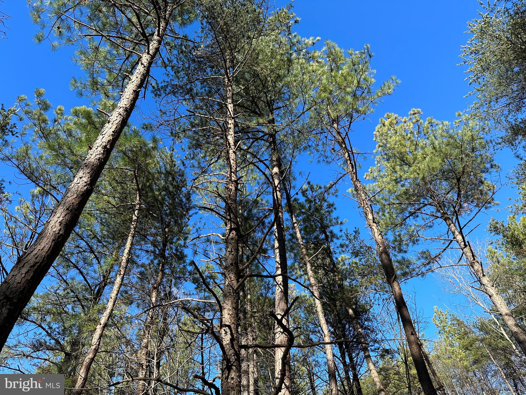 BLUFFS ON THE POTOMAC - Land