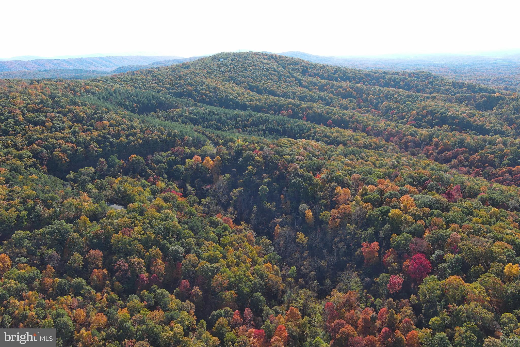 BLUFFS ON THE POTOMAC - Land