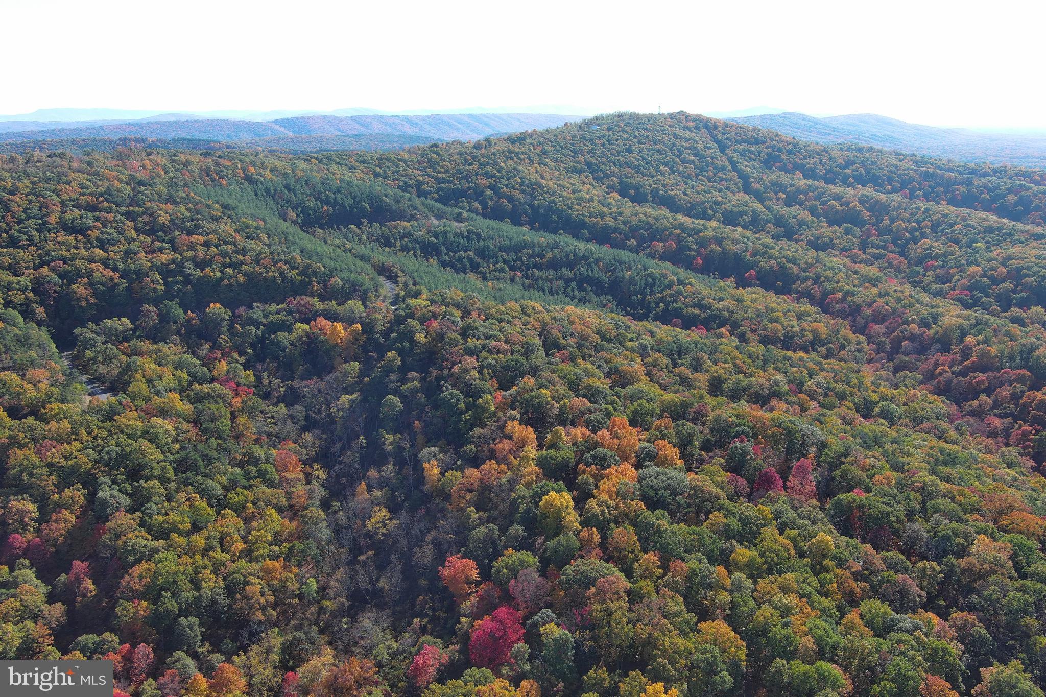 BLUFFS ON THE POTOMAC - Land